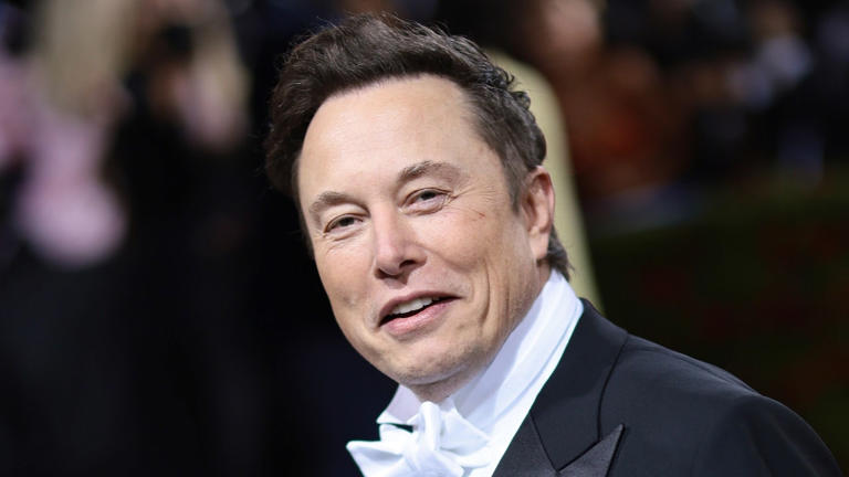 Elon Musk calls out $2.3 billion allocated to NGO personnel facilitating ‘illegal immigration’ in border bill