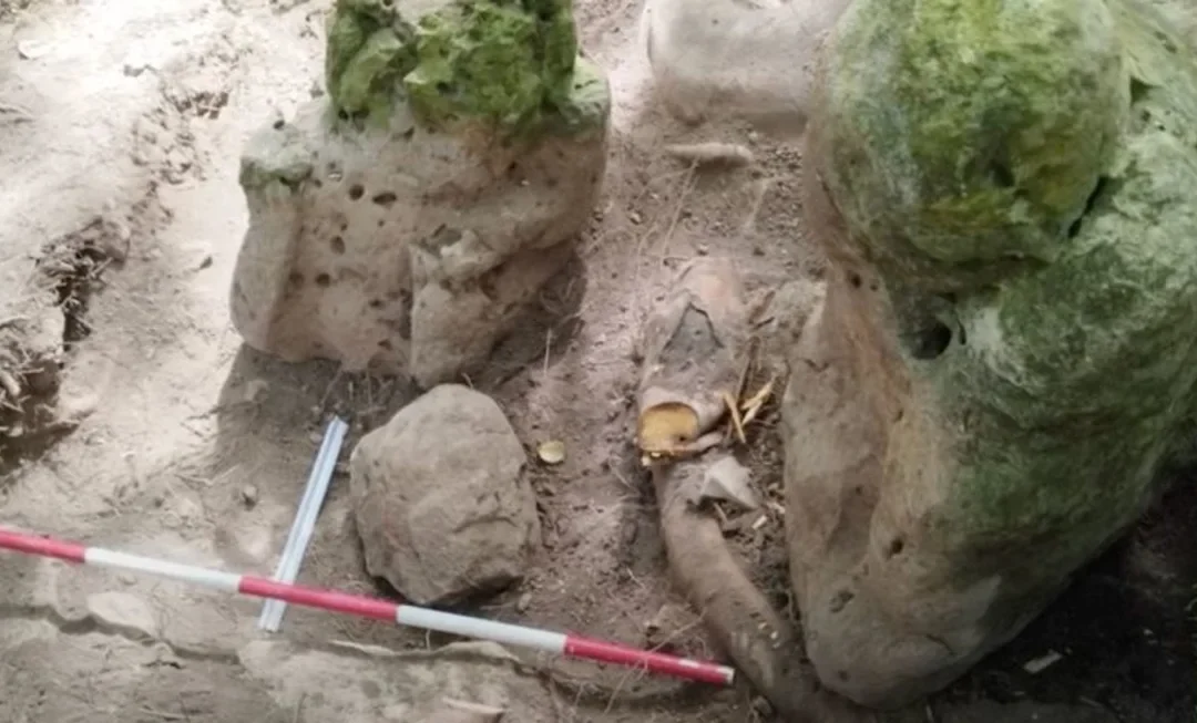 Descubren complejo maya con pirámides y canales de casi 3.000 años de antigüedad