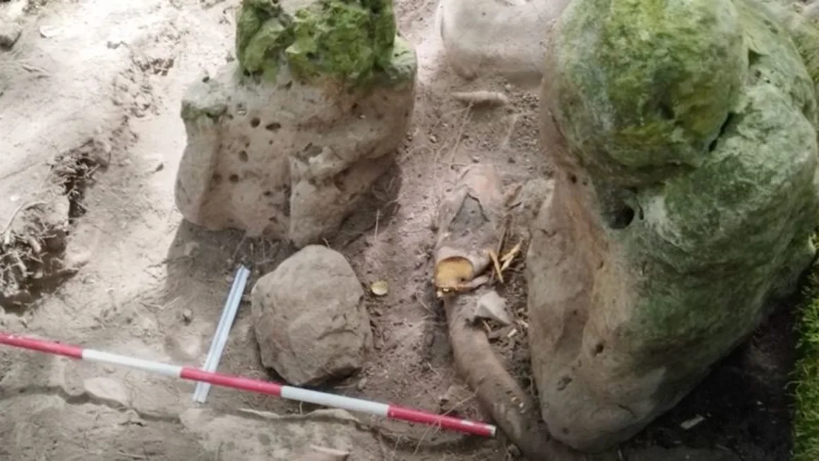 Descubren complejo maya con pirámides y canales de casi 3.000 años de antigüedad