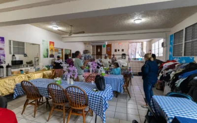 Legisladores de Puerto Rico piden al gobierno no suministrar información de licencias de conducir de migrantes a DHS y ICE